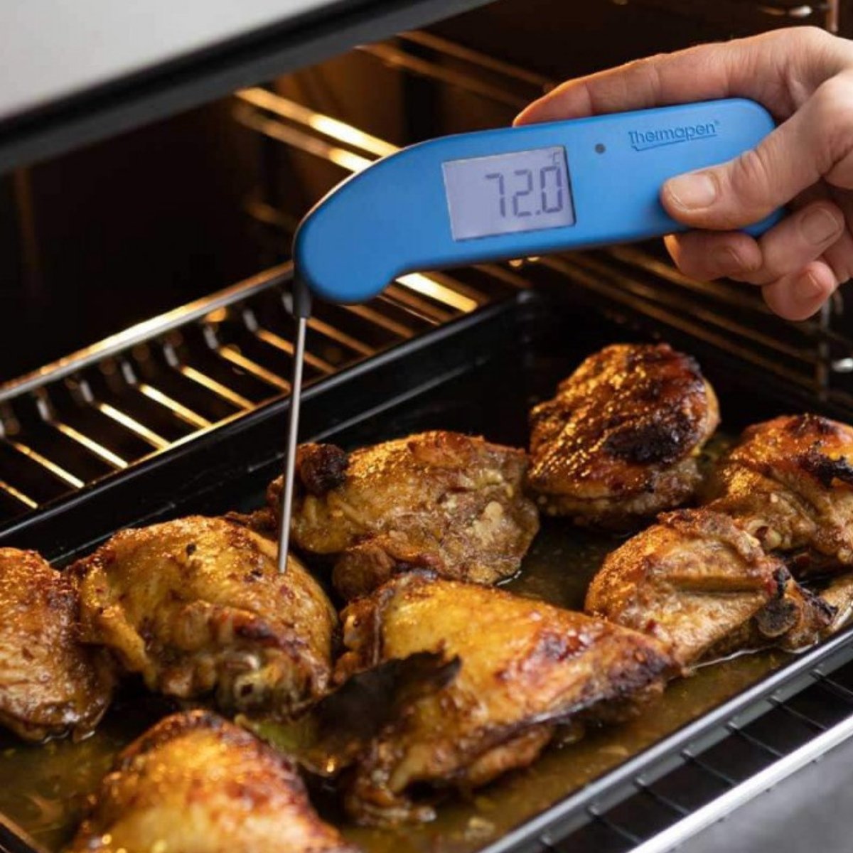 Thermapen One Thermometer